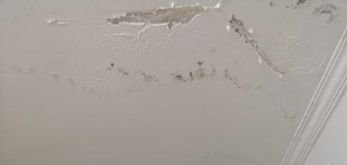 1548312821929572.jpg 3.jpg