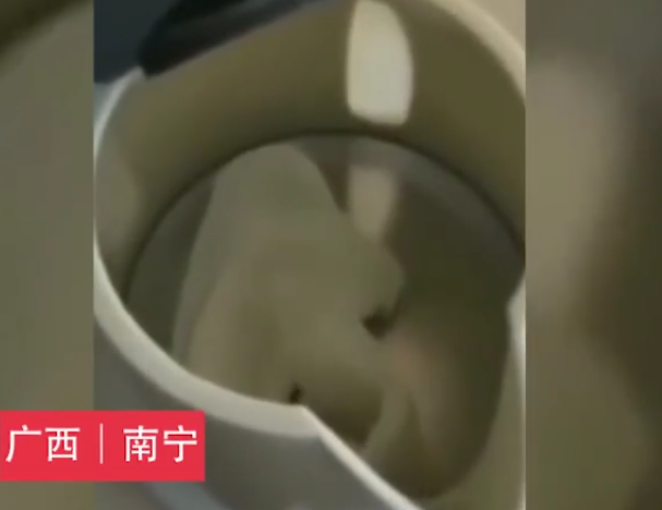 1566365148551409.png 微信截圖_20190821132415.png
