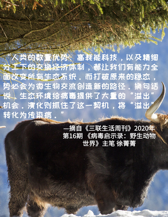 1614820008714800.png 1.png