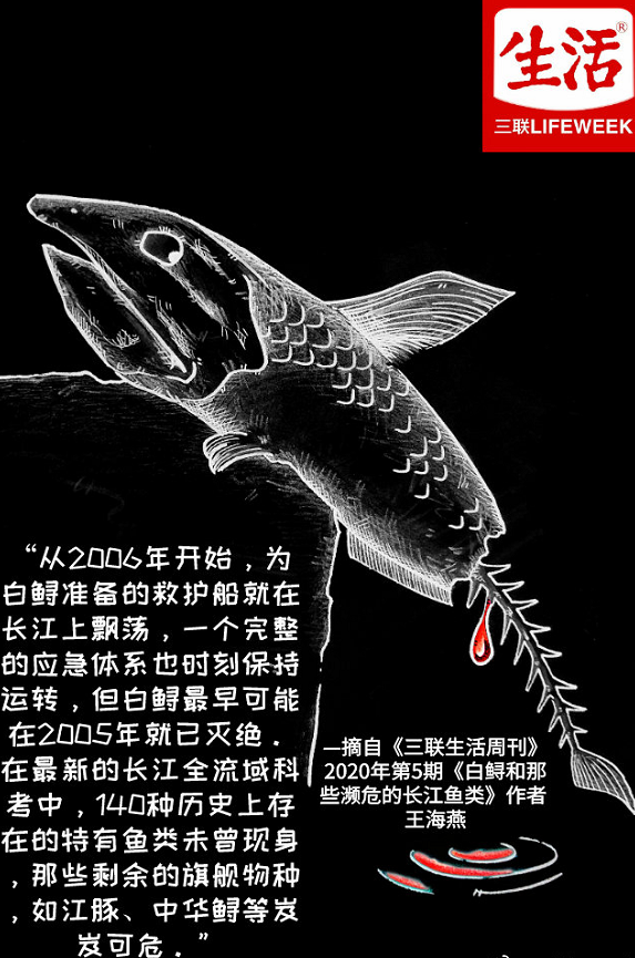 1614820026850953.png 5.png