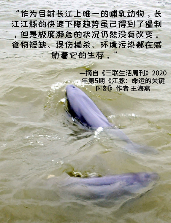 1614820031171954.png 6.png