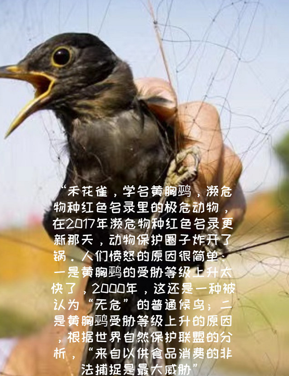 1614820045106787.png 9.png