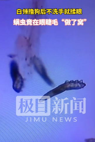 1635817396793506.png 微信截圖_20211102094048.png