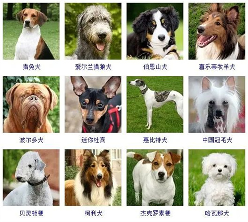 微信圖片_20220406114702.jpg