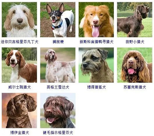 微信圖片_20220406114735.jpg