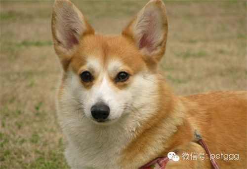 微信圖片_20220422130322.jpg